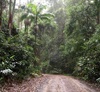Conondale Range