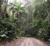 Conondale Range