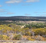 Wandoo Woodlands