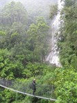 Montezuma Falls Tasmania