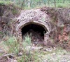 Wollemi National Park