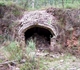 Wollemi National Park