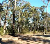 Howes Valley - Yengo NP