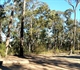 Howes Valley - Yengo NP