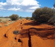 Heather Highway