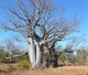 Location Gregory National Park