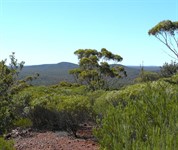Northern Yilgarn Conservation Reserves