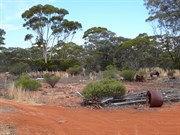 Great Western Woodlands