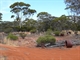 Location Great Western Woodlands