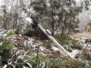 Snowing and 1 degree Oct 09