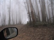 Foggy and 11 degrees Oct 07