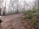 The junction with fog and snow falling