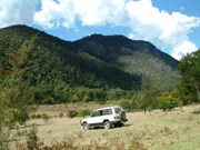 Bendethera Camp Site