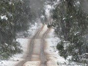 Heavy snow increasing!
