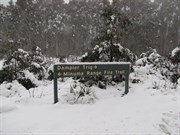 Snowscene Oct 09