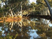 North Pool 2007