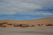 Sand dune - Cape Leveque