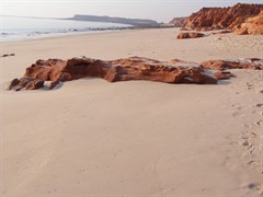 Cape Leveque