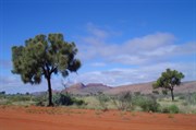 The nearby Petermann Ranges