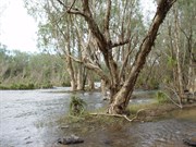 Roper River