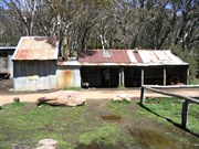Bluff Hut