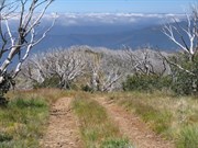 Track continues beyond summit.