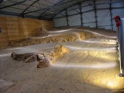Inside Lark Quarry