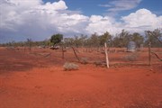 Mayneside Ruins