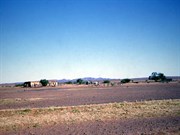 The JC Hotel (1966)