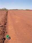Tanami Road
