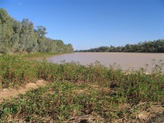 Cullyamurra Waterhole