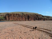 Result of Cyclone Fay damage