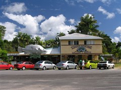 Daintree