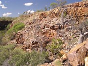The Grotto