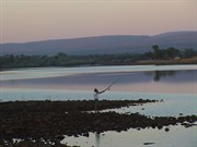 Fishing the Pentecost River at sunset