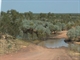 East side of Durack River Crossing: July 2001