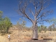 Typical campsite at end of dry season