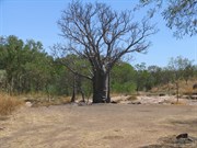 Typical campsite at end of dry season