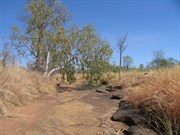 Dry season Sept 05