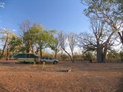 Leafless boabs and empty campground Sept 05