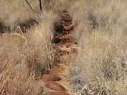 Walking track down to gorge