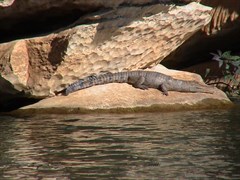 Geikie Gorge