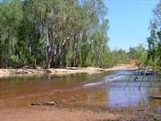 Causeway at Drysdale River Crossing July 2001