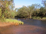 Looking downstream Carson Creek