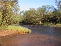 Kalumburu Road & Carson Creek - Looking downstream Carson Creek 