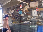 Inside the Shed at Honeymoon Beach