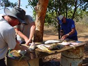 Cleaning the catch after a good day on Honeymoon Bay