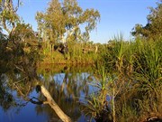 King Edward River