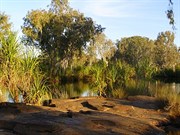 King Edward River