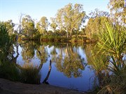 King Edward River